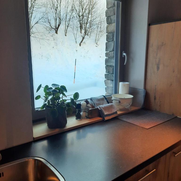 Mountain See Lodge - Deluxe Apartment - 38