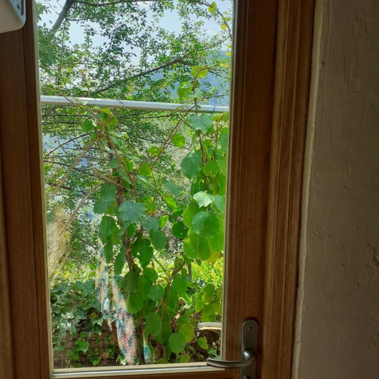 Gîte Trinacria - Maison 1 Chambre - 10