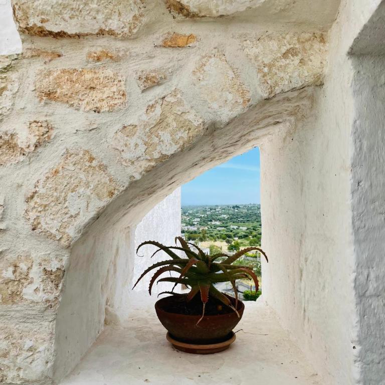 WHITE STONE- La nicchia - Monolocale Matrimoniale Deluxe - 26