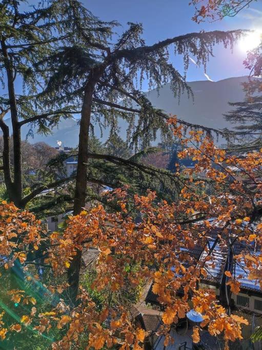 TORRE GARDEN HOME - casa singola nella città di Bolzano con giardino privato - Casa Vacanze - 25
