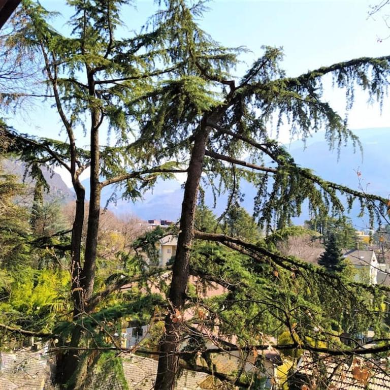 TORRE GARDEN HOME - casa singola nella città di Bolzano con giardino privato - Casa Vacanze - 4