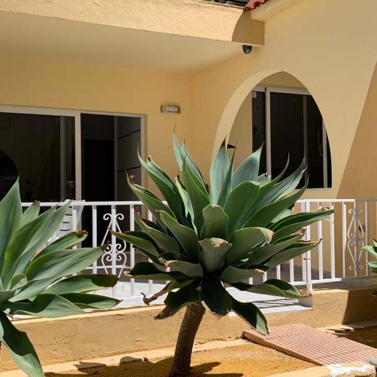 Costa Adeje-2 bed.apartment with double terrace - Apartamento de 2 dormitorios - 25