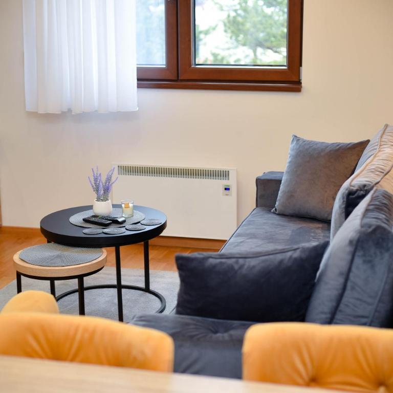 Apartmani Royal Forest - Apartman sa 1 Spavaćom Sobom - 15
