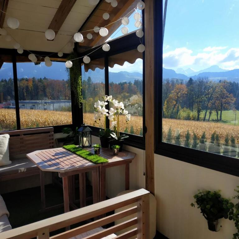 Chalet de charme à côté de Genève Annecy Chamonix, vue sur les montagnes, sauna jacuzzi en option - Chalet 2 Chambres - 15