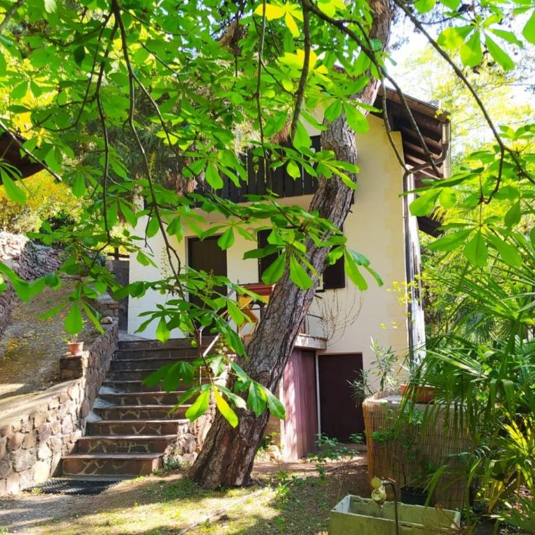 TORRE GARDEN HOME - casa singola nella città di Bolzano con giardino privato - Casa Vacanze - 7