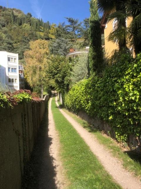 TORRE GARDEN HOME - casa singola nella città di Bolzano con giardino privato - Casa Vacanze - 28