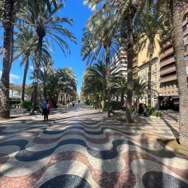 Precioso apartamento a un paso del Mercado central - Apartamento de 3 dormitorios - 3