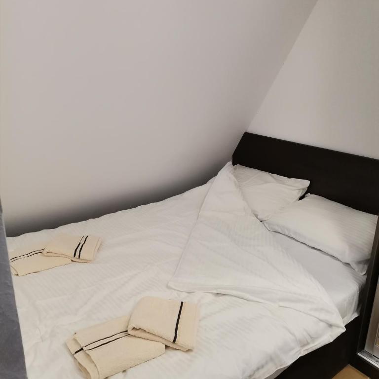 Apartman Šujdović24 - Apartman sa 1 Spavaćom Sobom - 2