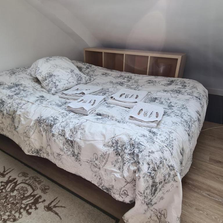 Appartement Cœur de Paris avec vue sur les toits - One-Bedroom Apartment - 10