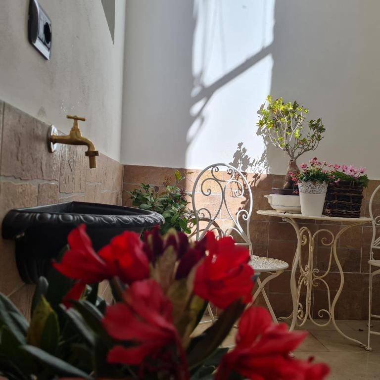 Piccola residenza salentina a Lecce - Casa con 1 Camera da Letto - 9