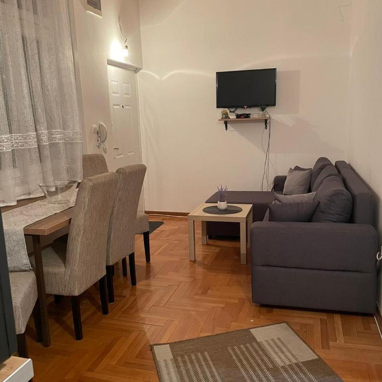 VILA MILETIĆ - Apartman sa 1 Spavaćom Sobom - 13