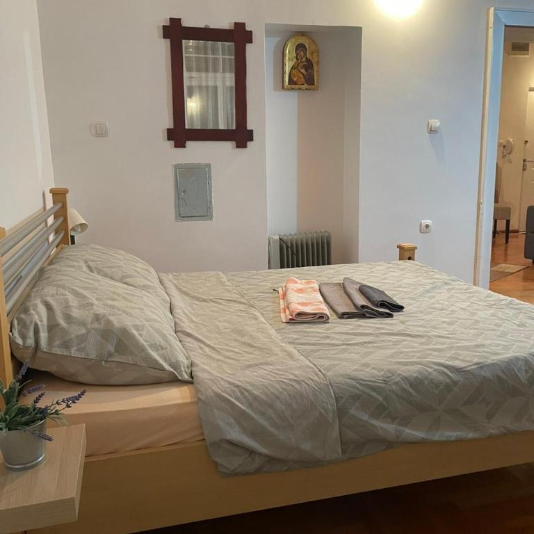 VILA MILETIĆ - Apartman sa 1 Spavaćom Sobom - 25