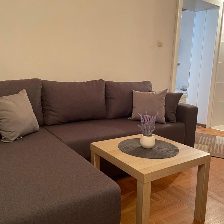 VILA MILETIĆ - Apartman sa 1 Spavaćom Sobom - 12