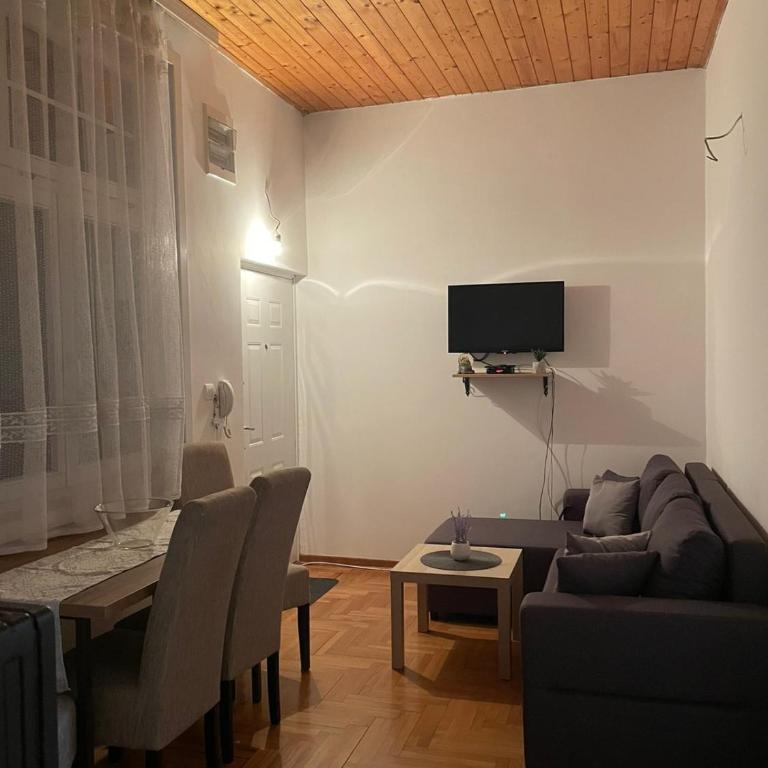 VILA MILETIĆ - Apartman sa 1 Spavaćom Sobom - 11