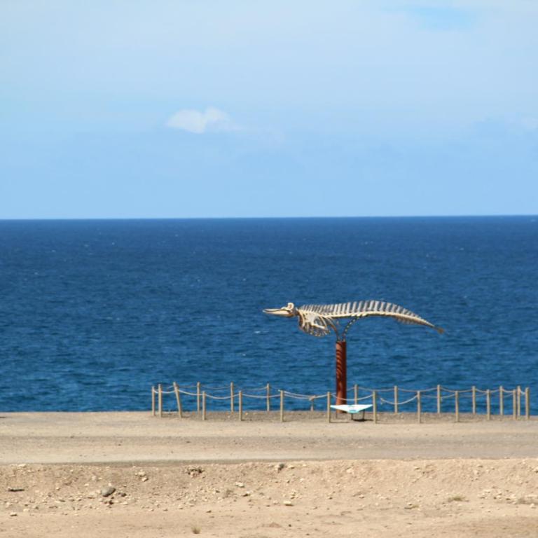 Apartamentos Cotillo Mar con y sin terraza con vistas al Mar - Apartment with Sea View - 31