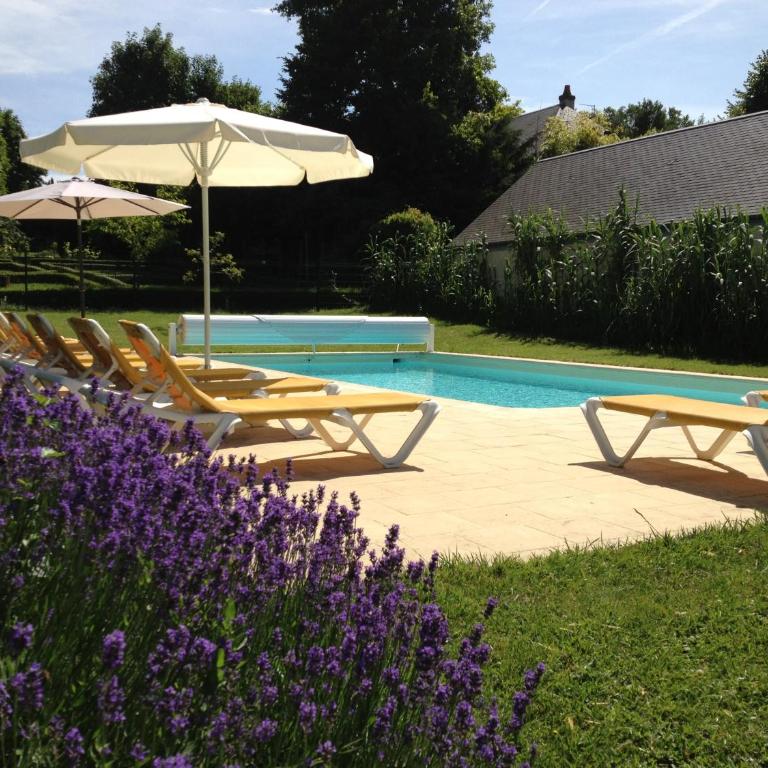 Manoir Du Parc (Adults only) - Small Double Room - Manor - 2
