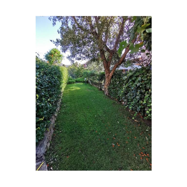 Alzoni apartment - Appartamento con 2 Camere da Letto - 11