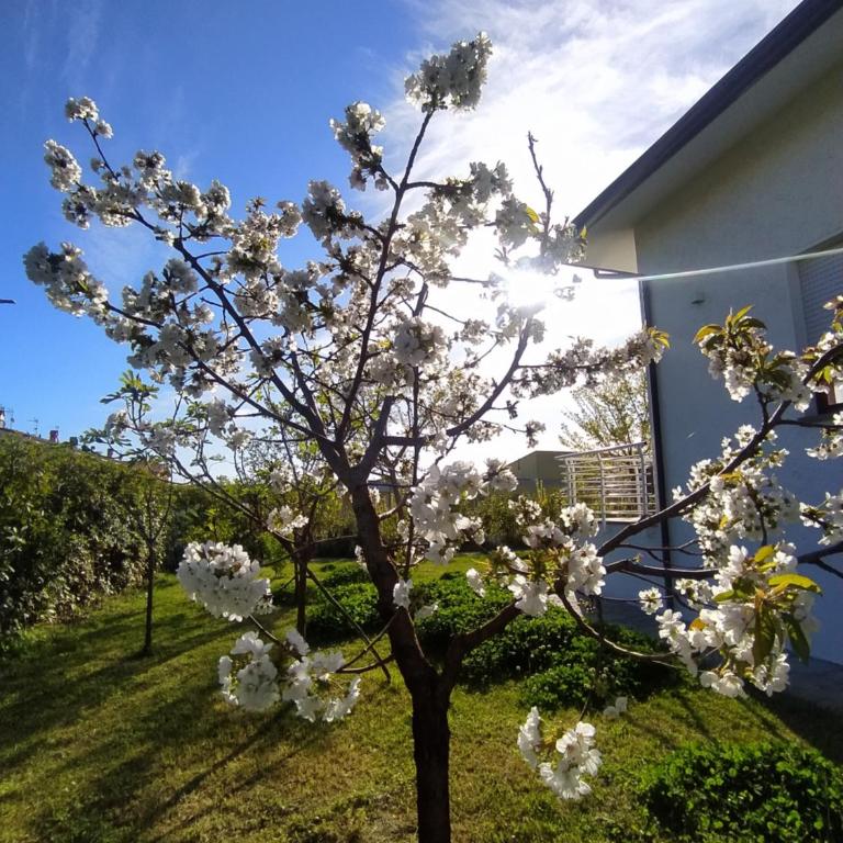 Villa la Bouganville - Villa mit Gartenblick - 9