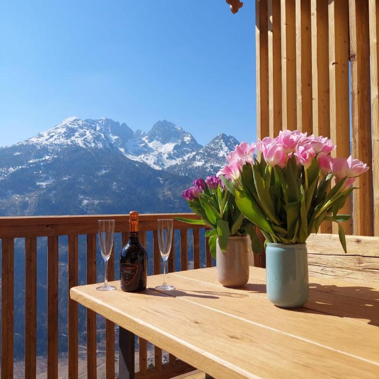 Panorama Berg Chalet - Chalet mit 2 Schlafzimmern - 24