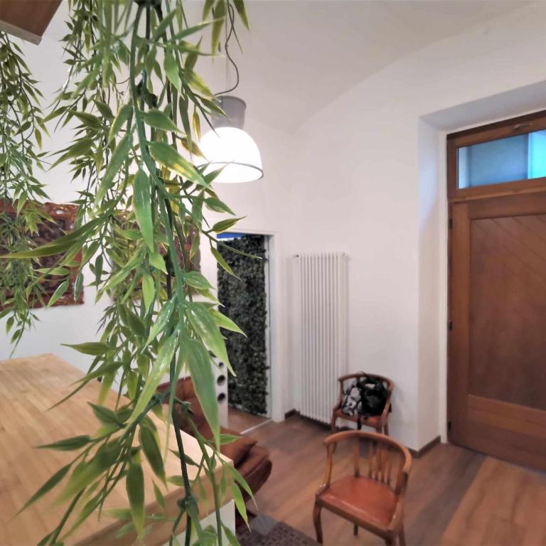Jungle Fever - Two-Bedroom Apartment - 2