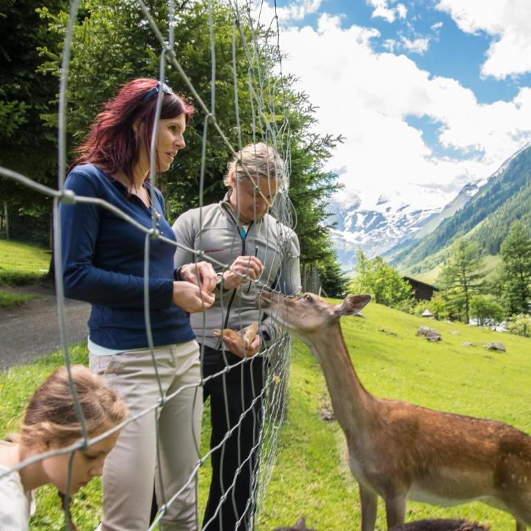 Oberreiter's Alpennest - Apartment mit Blick auf die Berge - 35