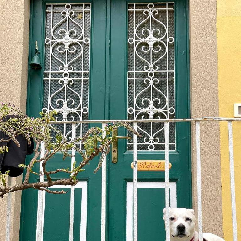 Villa Angelica - Appartamento con 1 Camera da Letto - 7