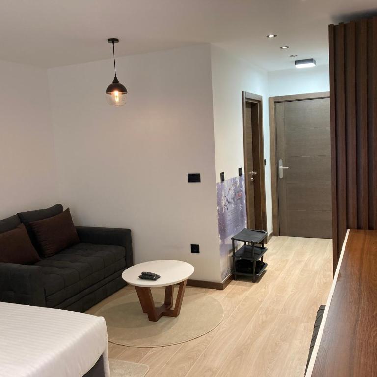 Apart Hotel & spa Zoned II, Kopaonik, apartman Lukač - special benifit Children up to 17 of age accompanied by two adutls staj for free! FREE PARKING! - Deluxe King Studio - 14