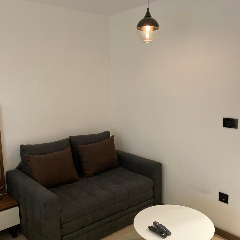 Apart Hotel & spa Zoned II, Kopaonik, apartman Lukač - special benifit Children up to 17 of age accompanied by two adutls staj for free! FREE PARKING! - Deluxe King Studio - 9