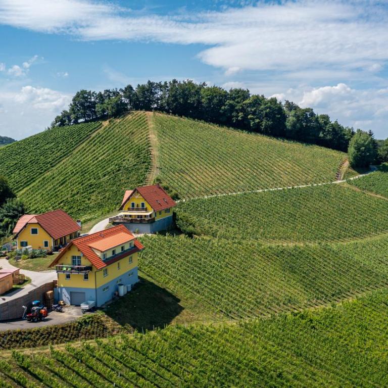 Ferienwohnung Weingut Birnstingl - Appartamento con Terrazza - 9