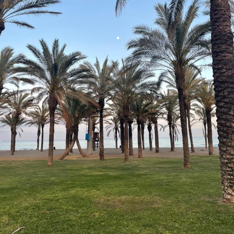 Cosy Sunrise Beach - Apartamento de 1 dormitorio con terraza - 25