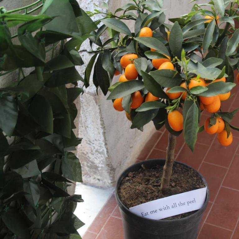 Casetta di Angie - Appartamento con 1 Camera da Letto - 16