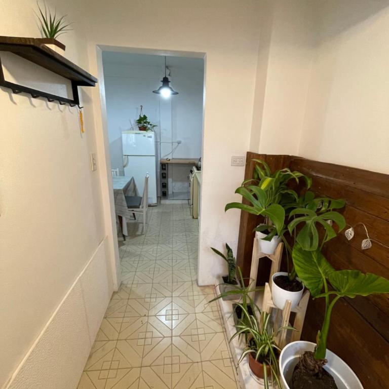 Zona Norte inn - Apartamento de 1 dormitorio - 2