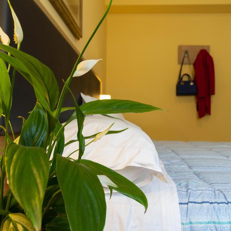La Pineta - Le Casette di Osvaldo - Appartamento con 1 Camera da Letto - 5