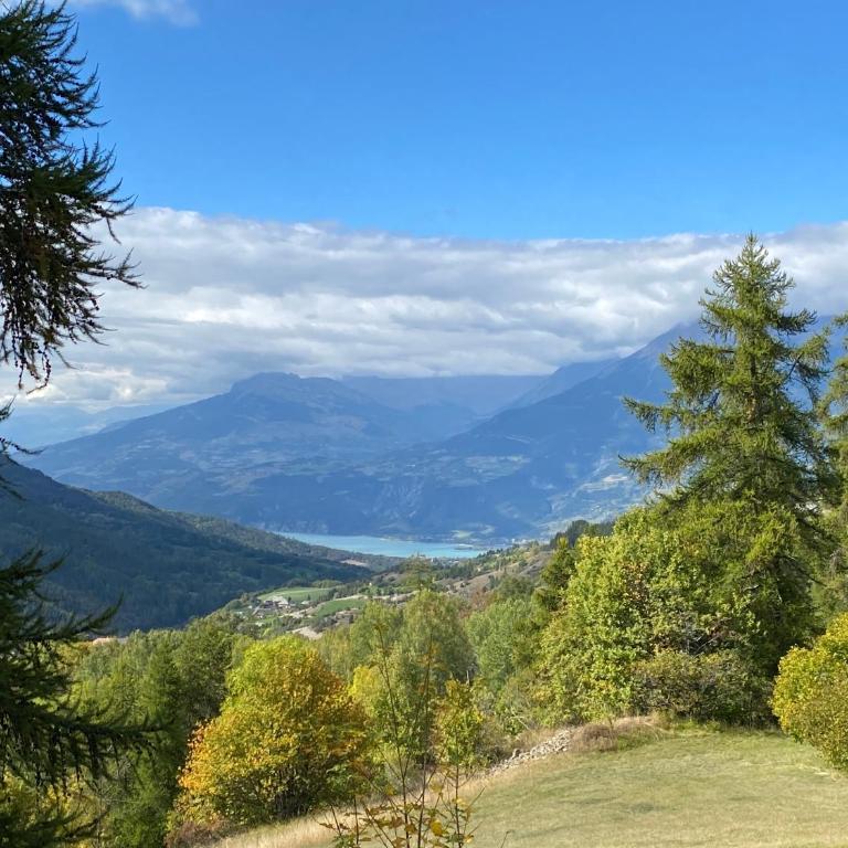 Maison de montagne Alpes du sud/station Les Orres - Chalet - 31