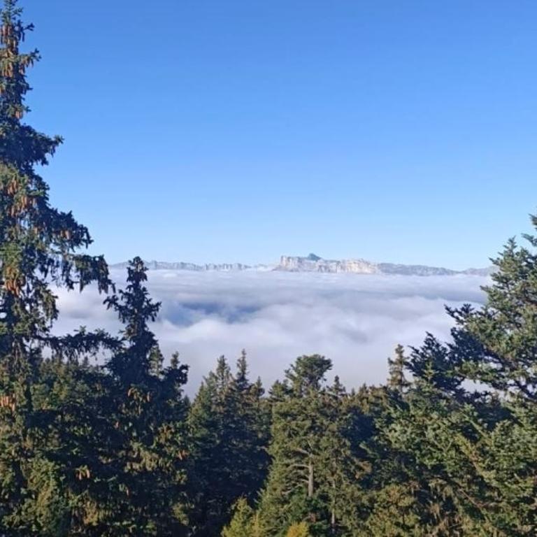 Appartement 2 chambres avec vue au pied des pistes - Appartamento con 2 Camere da Letto - 1