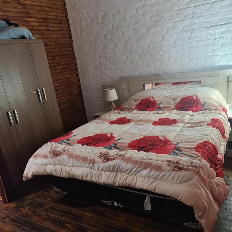 Cabañas Los Ñatos SE RESERVA CON SEÑA !!! - Casa - 13