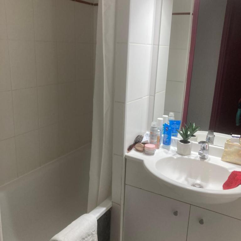 Appartement 4/6 pers 38m2, vue montagne, piscine chauffée, 500m centre ville - Appartement 2 Chambres - 13