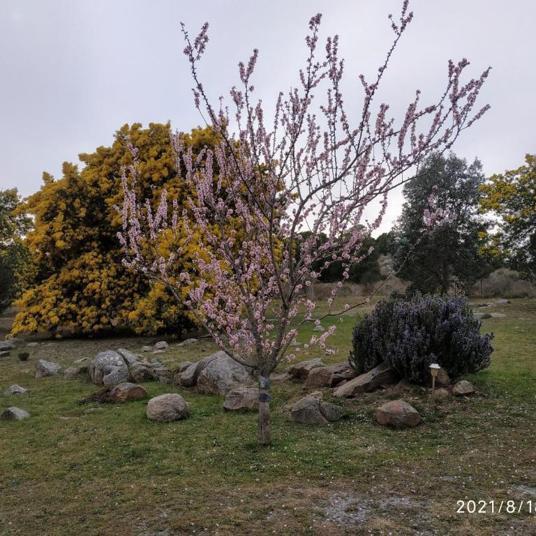 Las Golondrinas - Casa de 2 dormitorios - 36