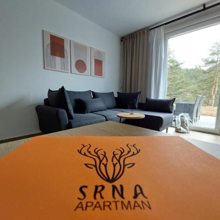 Apartman SRNA, Vila JEZERO - Apartman sa 1 Spavaćom Sobom - 8