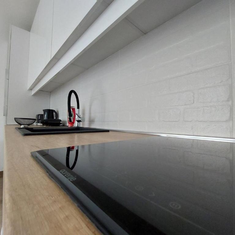 Apartman SRNA, Vila JEZERO - Apartman sa 1 Spavaćom Sobom - 23