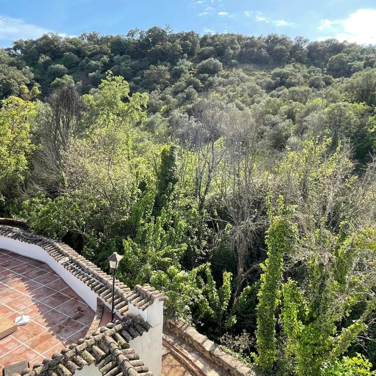 Hacienda La Trinidad - Villa - 3