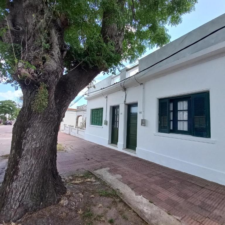 Casitas Centro Comercial Piriápolis Relax o Estudio - Apartamento - Planta baja - 13