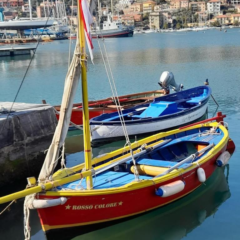 La Nuova Paranza - Le Grazie - Portovenere - Cinque Terre - Appartamento con 1 Camera da Letto - 50