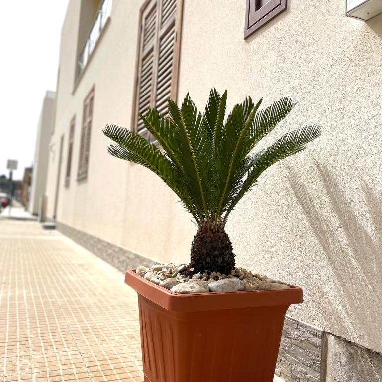 B&B La CYCAS - Ampia Camera Matrimoniale - 16