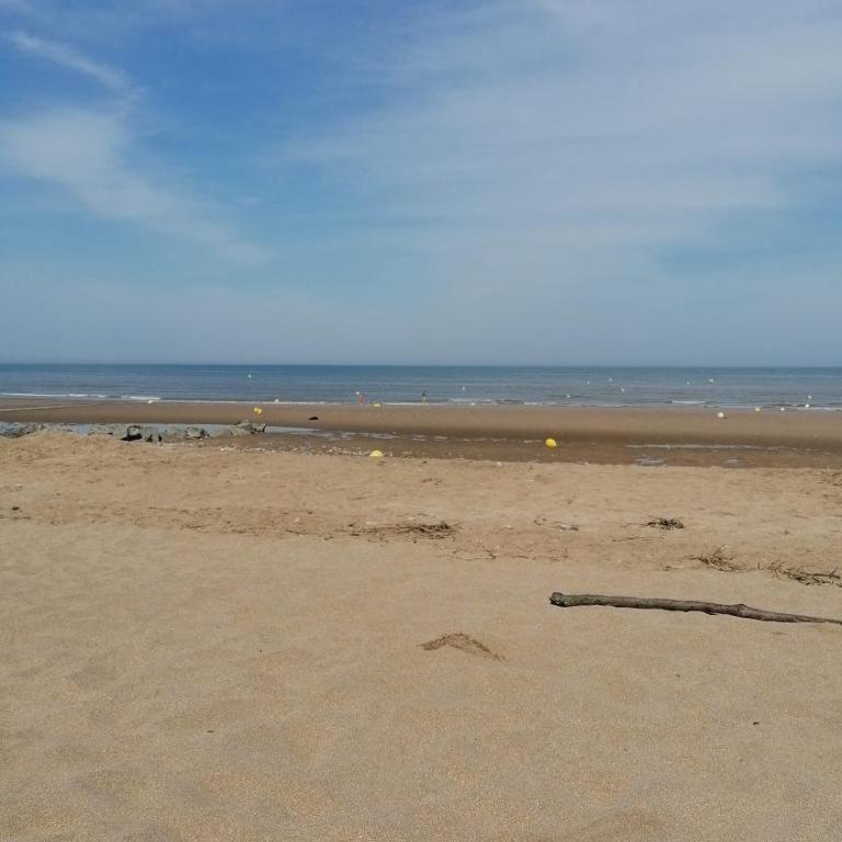 Bel appartement T2 150m plage et tous commerces - Apartment mit 1 Schlafzimmer - 10