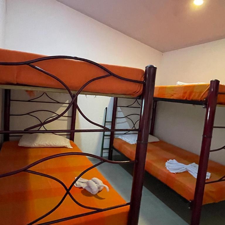 El Veranito Casita de Campo - Casa de 3 dormitorios - 9
