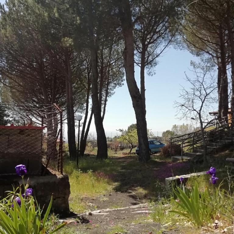 Etna Country Home - Chalet - 6