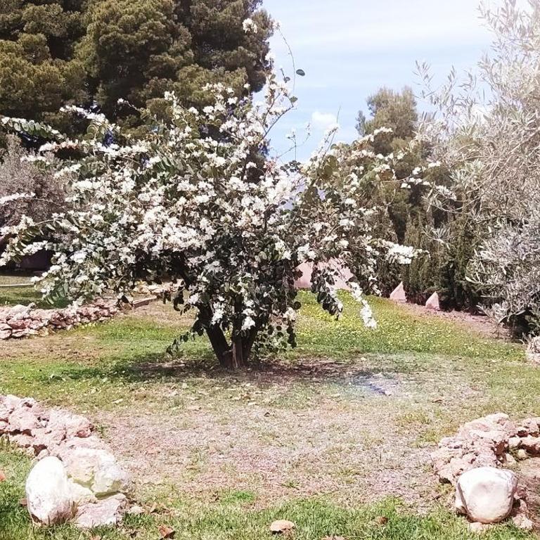 Cortijo Nerja Artist Paradise - Casa de 6 dormitorios - 11