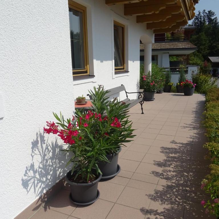 Ferienwohnungen Niederacher - Apartamento de 1 dormitorio con terraza - 1