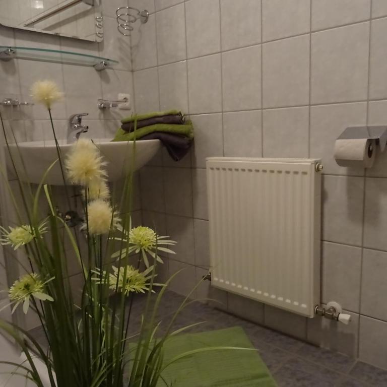 Ferienwohnungen Niederacher - Apartamento de 1 dormitorio con terraza - 10